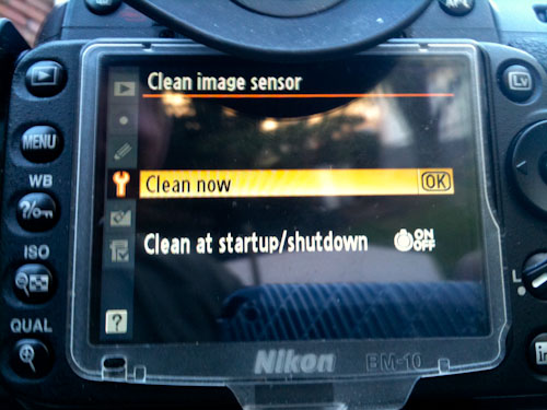 Nikon D90 Cleaning Menu